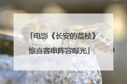 电影《长安的荔枝》惊喜客串阵容曝光